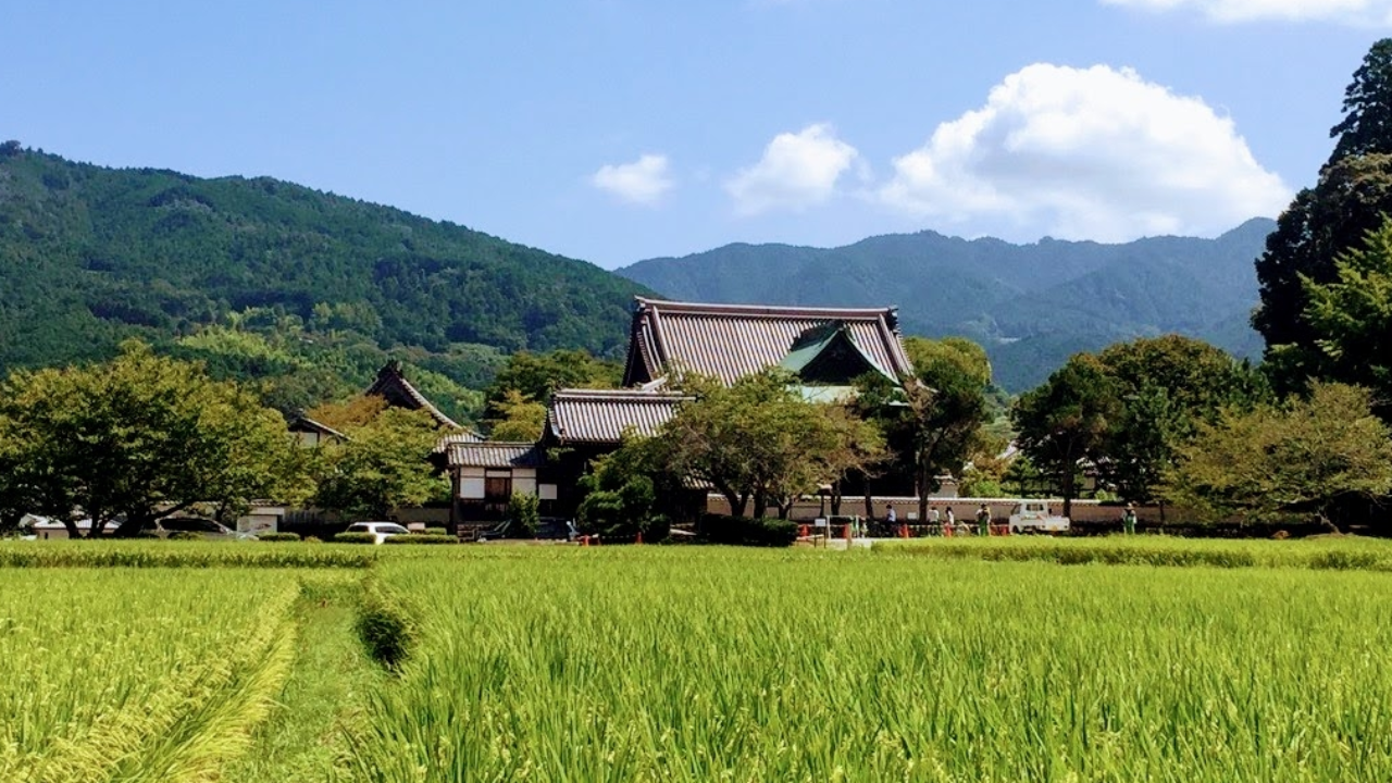 ニュース〛介護業界（～2022年5月8日） - 福祉人事.com