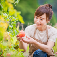 〚障害トピックス〛農福連携の可能性