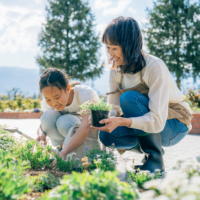 〚保育トピックス〛移住希望者向けお試し保育